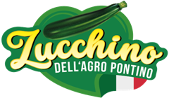 Zucchino dell'Agro Pontino