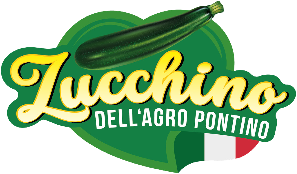 Zucchino dell'Agro Pontino